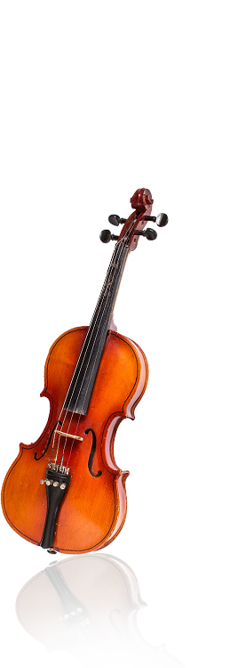 Illustration d'un violon