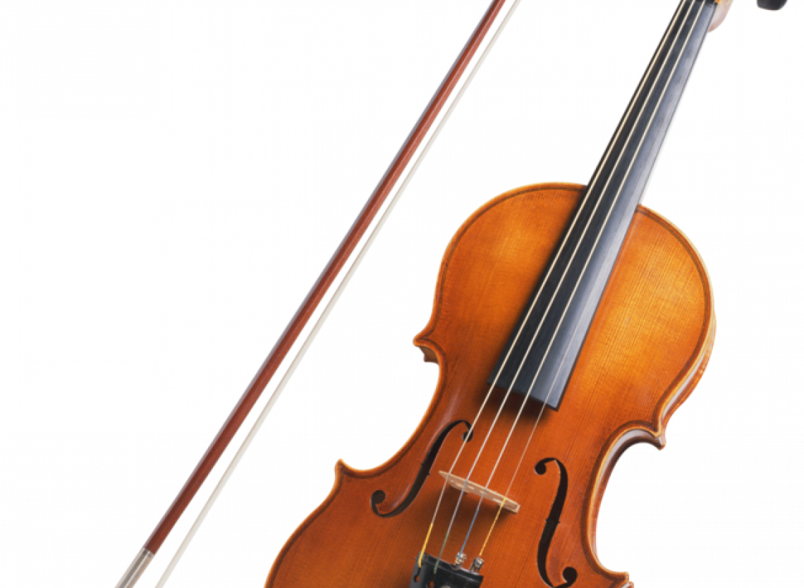 violon violon