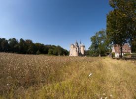 CDT41-Mirphoto21012
